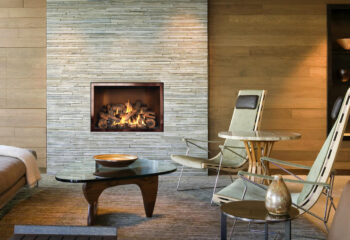 FV36 Landscape Gas Fireplace